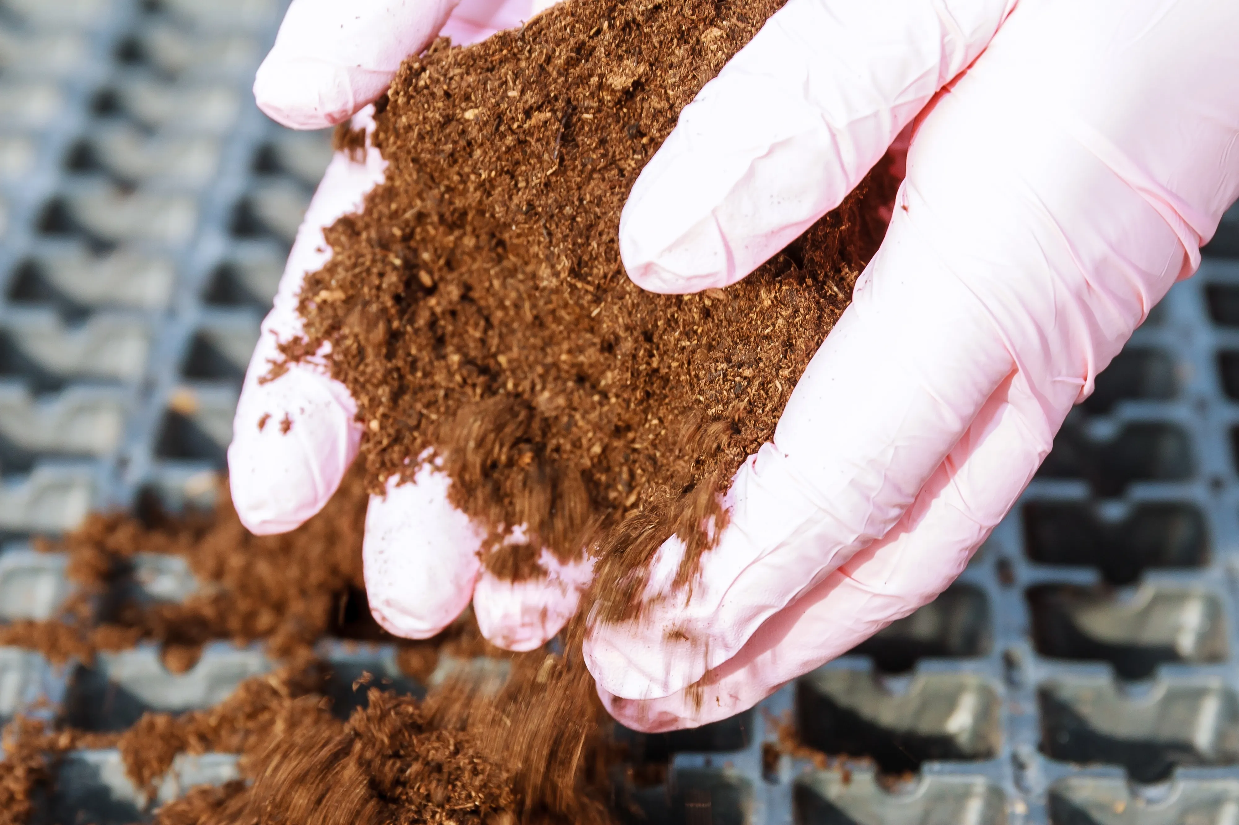 gloved hand holding test tube by river