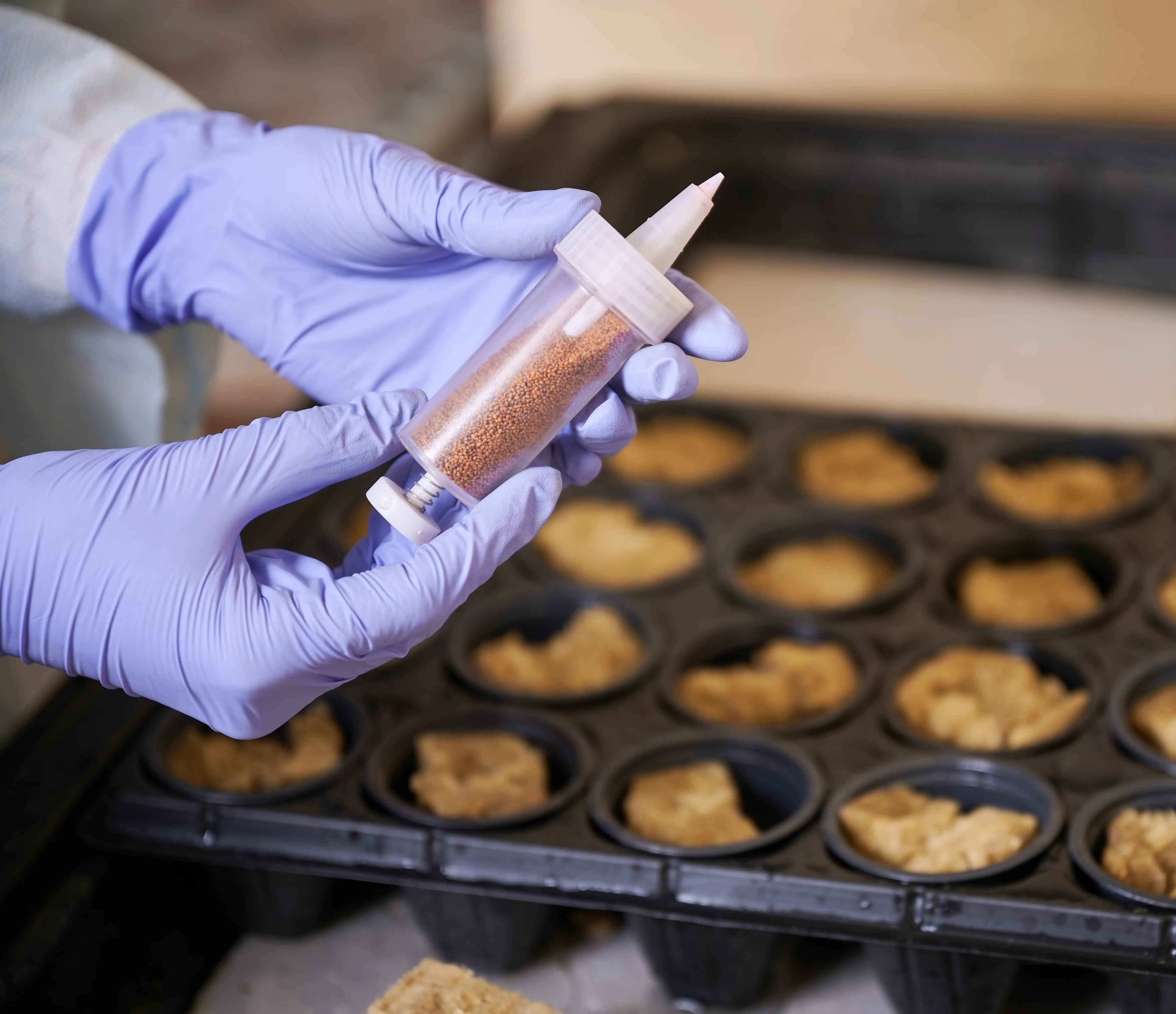 analysis of wastewater in lab